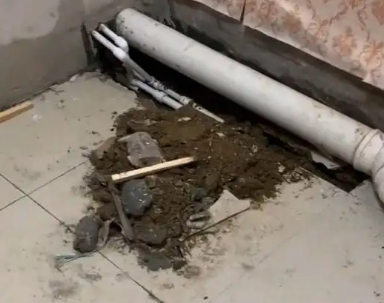 扶绥卫生间漏水检测哪家好