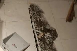 扶绥卫生间漏水检测电话